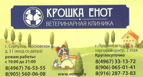 Крошка Енот