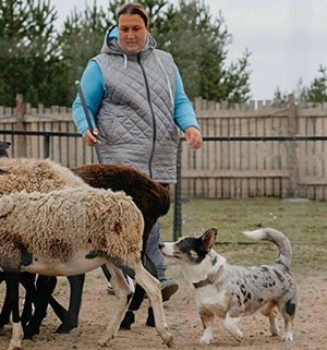 Пастушья служба НАФАНИ