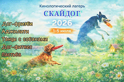 Фризби НАФАНИ